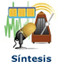 S�ntesiss