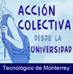 Acción colectiva